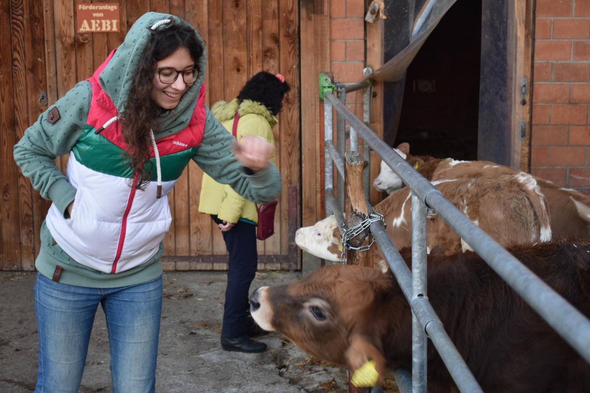 tierische Begegnungen