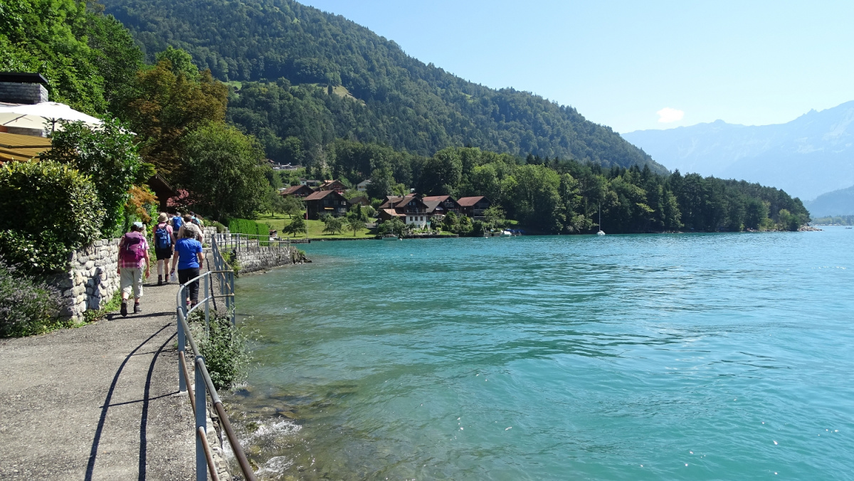 am Thunersee