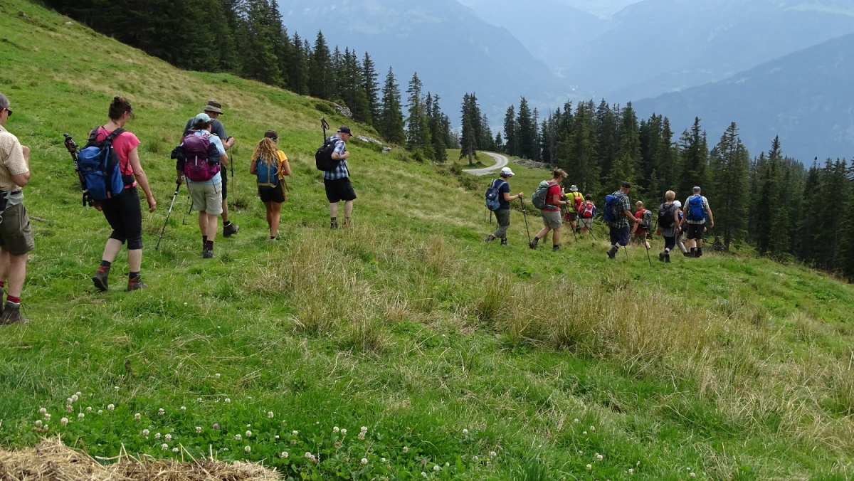 Wandern im schönen Berner Oberland
