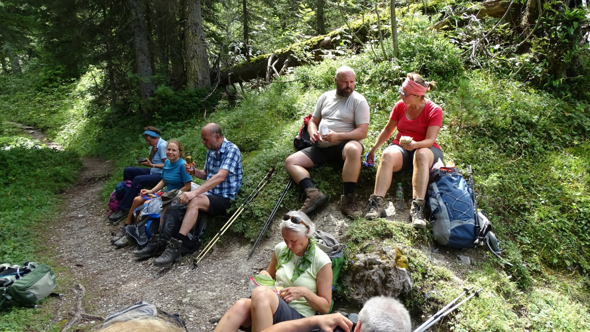 im Wald - über Stock und Stein