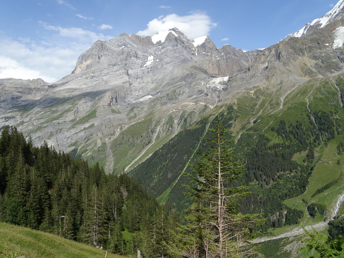 Blick in die Berge
