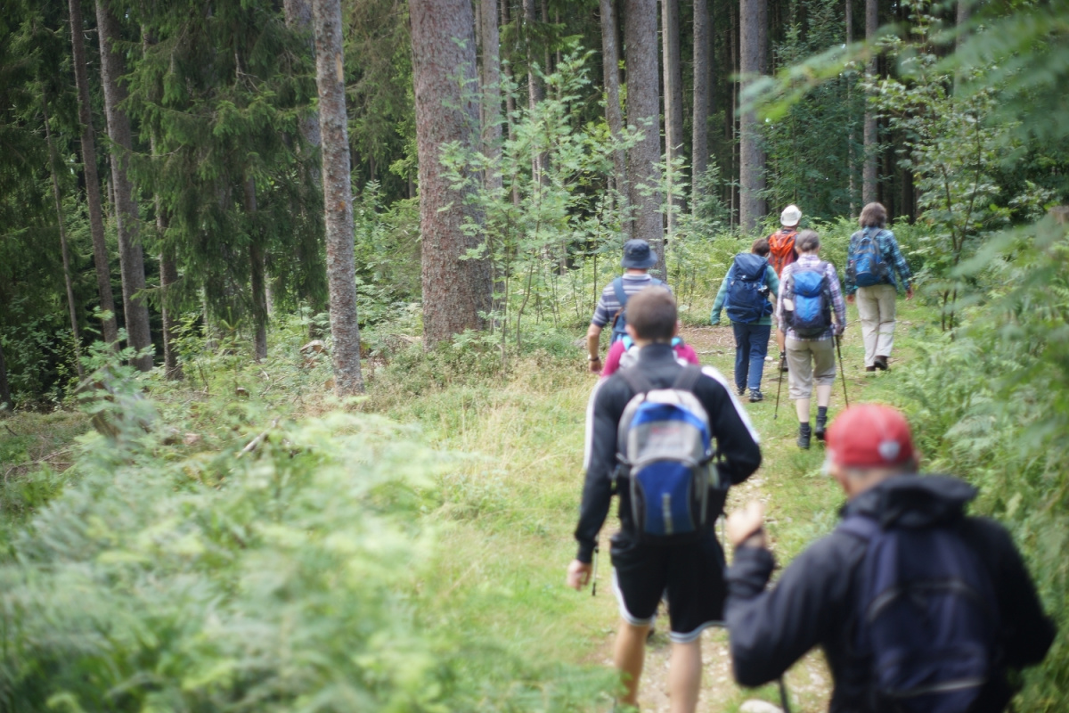 gutes Tempo beim Wandern