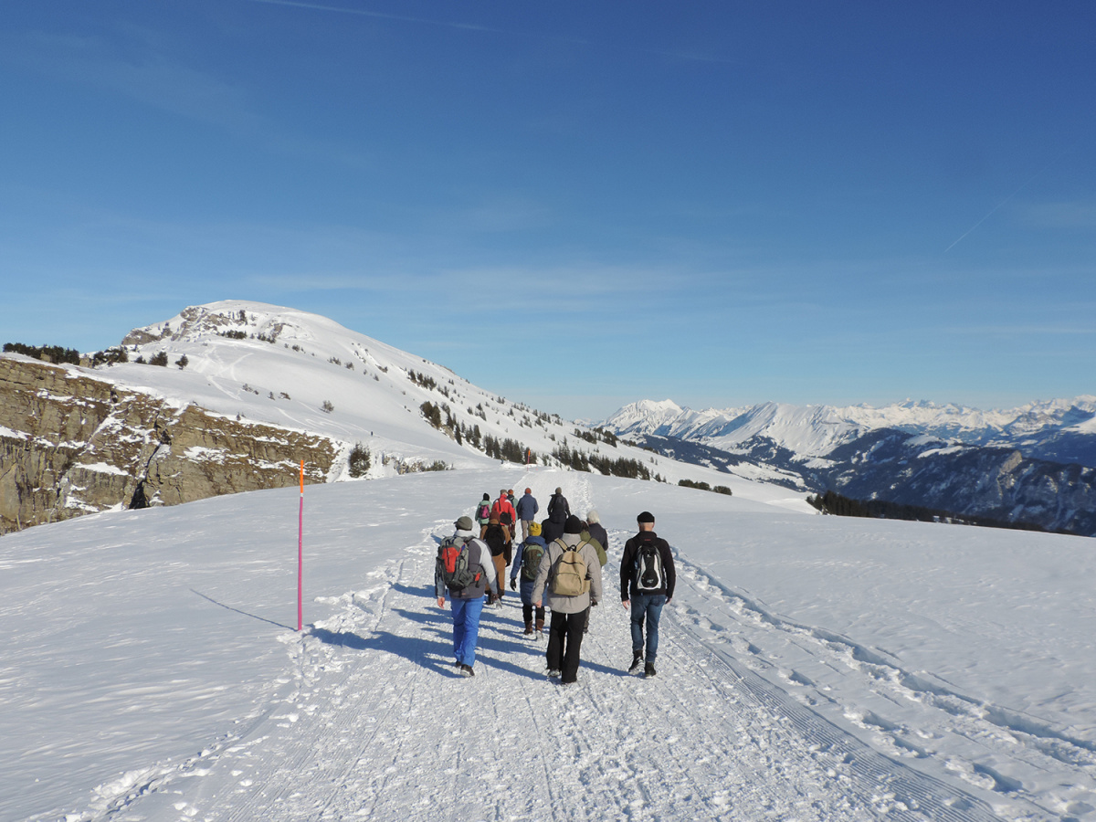 Winterwandern am Niederhorn