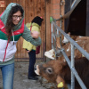 tierische Begegnungen