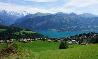 Ausblick